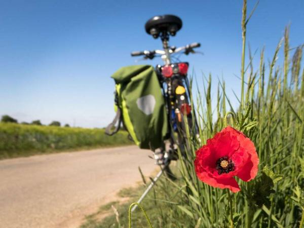 Spanien - Granada - Radrast - Mohnblume