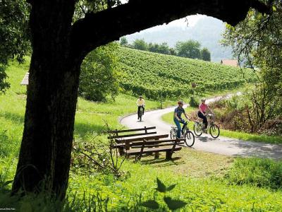 Radlergruppe in Marktheidenfeld