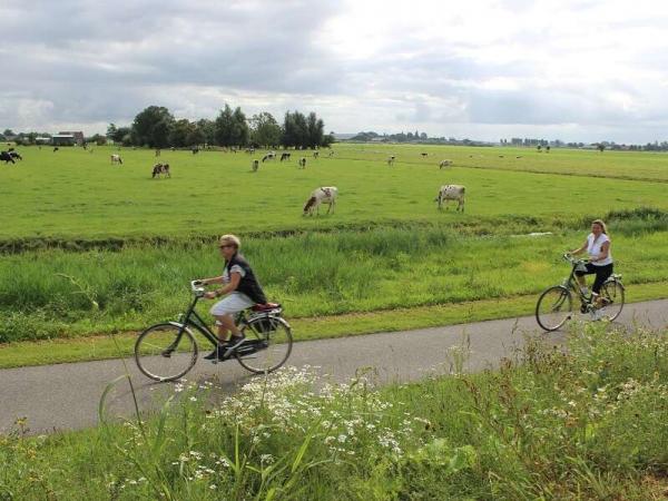 Radfahrer Friesland