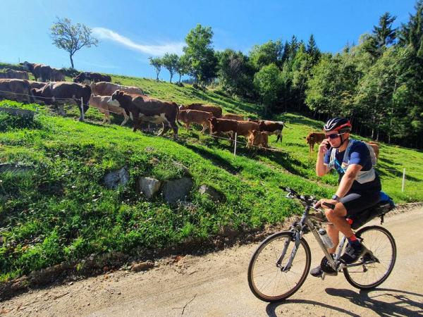 Radfahrer auf dem Weg von Wr. Neustadt nach Mnichkirchen mit Khen auf der Weide im Hintergrund