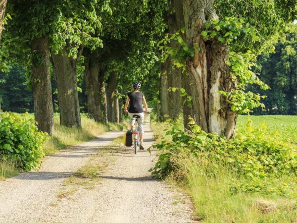 Auf dem Rad in die Abendsonne - cycling into sunset