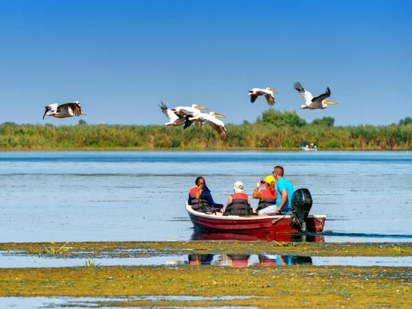 Tourist watching the Pelican Birds wildlife fauna in the Danube Delta