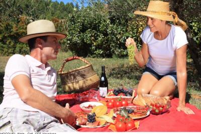 Radfahrer-Picknick in der Provence