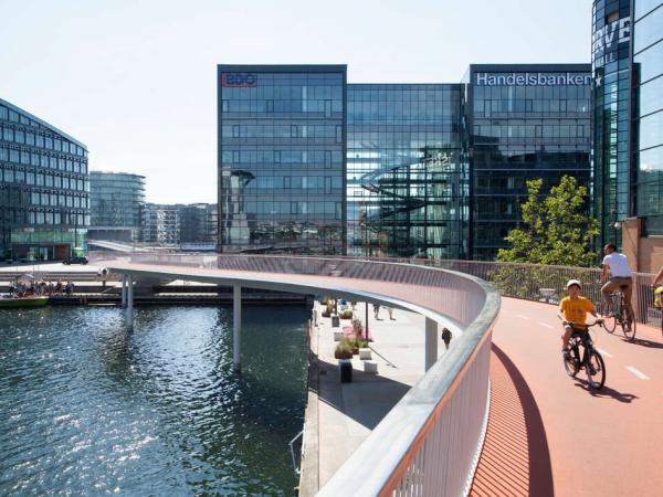 Bike Path in Copenhagen