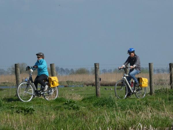 cyclists