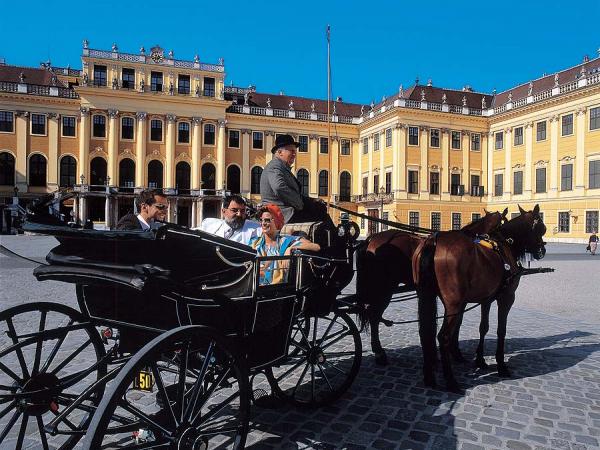 Fiaker vor Schloss Schnbrunn