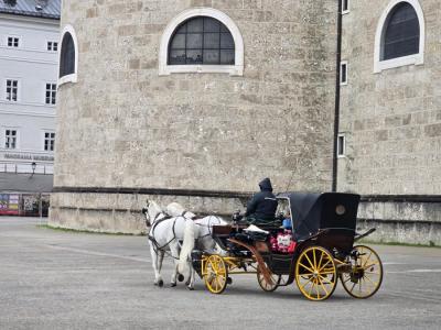 Pferdekutsche in Salzburg