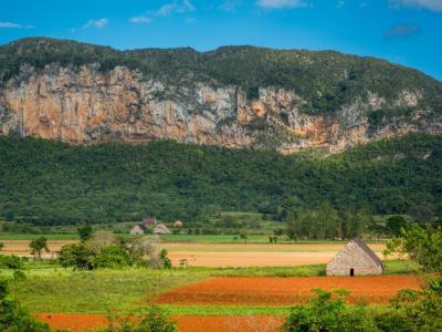 Tabakfarm in Vinales - Vinales Tobacco farming