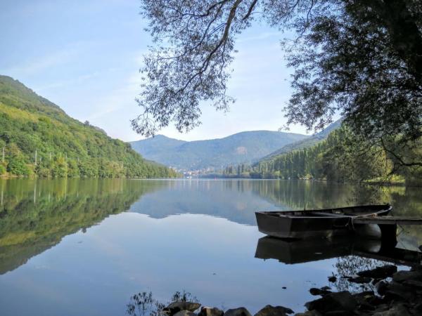 River landscape