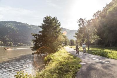 Donauradweg Schlgener Donauschlinge