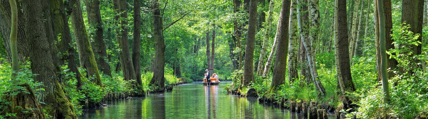 Gemütliche Kahnfahrt im Spreewald | © Adobe Stock / LianeM