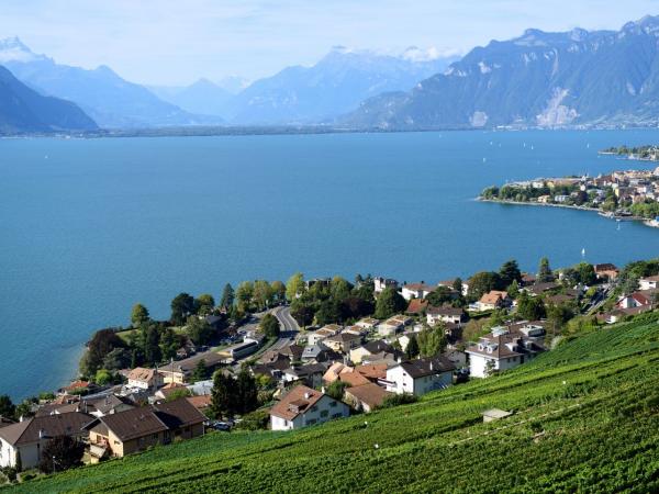 Blick ber den Genfer See