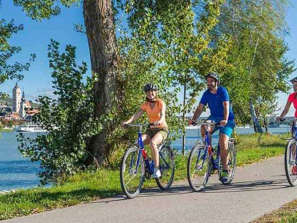 Radfahrer in der Wachau