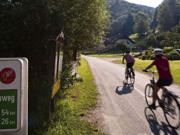 Radfahrer am Donauradweg