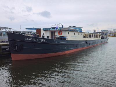 Schiff Magnifique 1