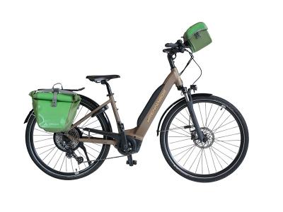 E-Bike Touring/Trekking