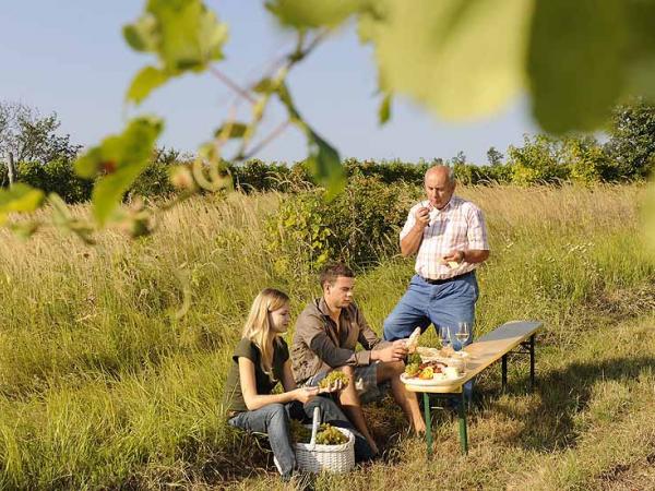 Picknick im Natinalpark Neusiedler See