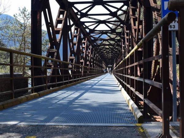 Cyclist Bridge