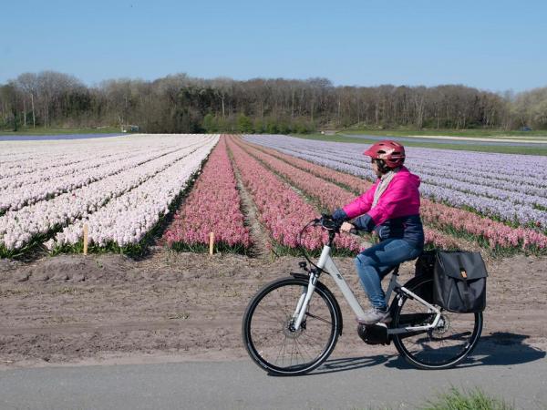 Radfahrerin vor einem bunten Blumenfeld
