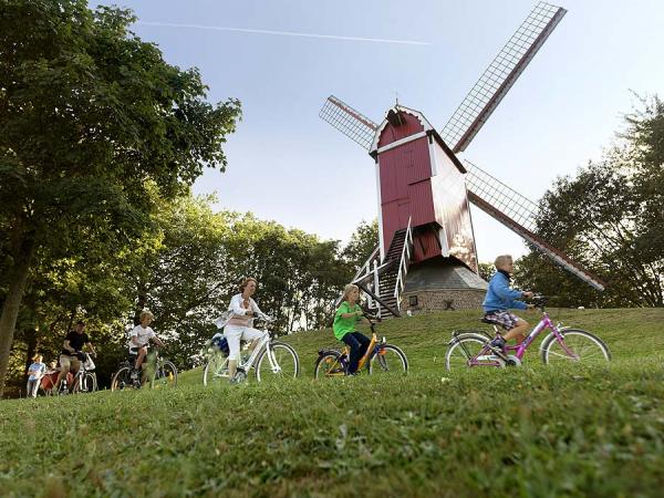 Radfahrer vor Windmhle