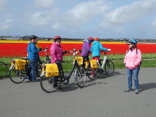 cyclists near tulip field