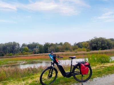 Fahrrad an der Donau