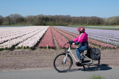 Radfahrerin vor einem bunten Blumenfeld