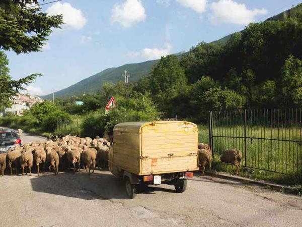 Unterwegs in der Toskana