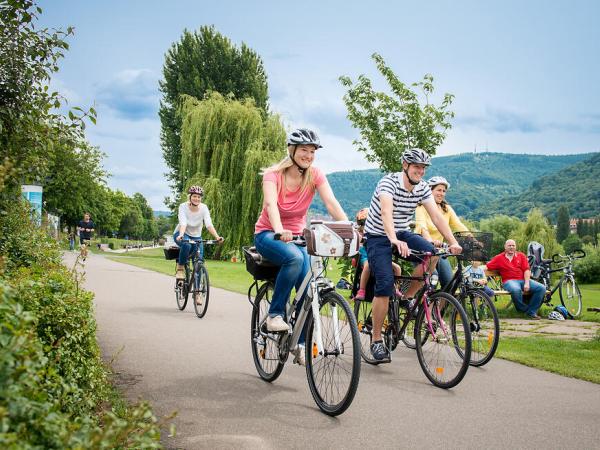 Radfahrer am Neckarradweg bei Heidelberg