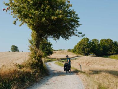 Radfahrer Dnemark