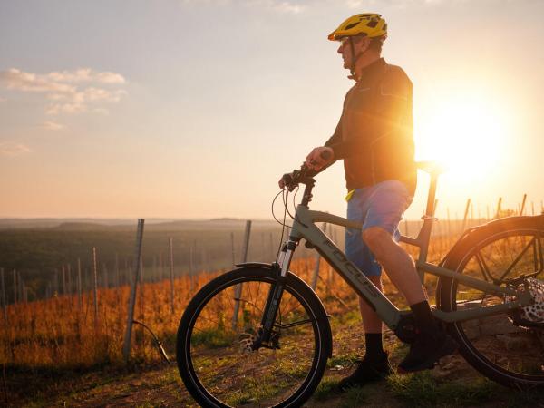 Radfahrer im Weinbaugebiet