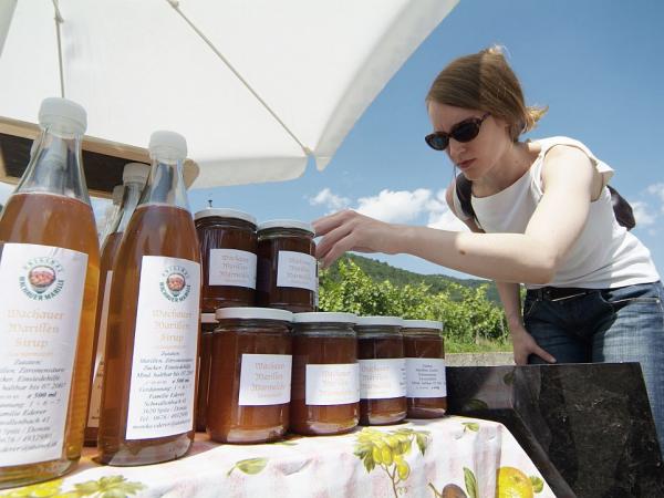 Apricot sales stand in the Wachau Valley