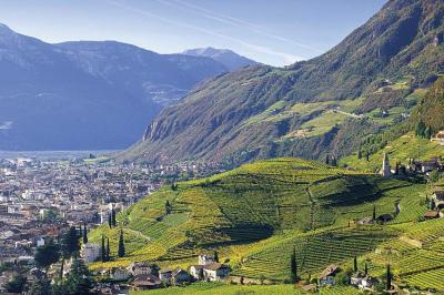 Weinberge von St. Magdalena ber Bozen