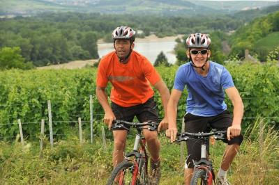 Radtour in den Weinbergen von Sancerre