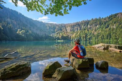 Radfahrerin am Feldsee bei Titisee-Neustadt