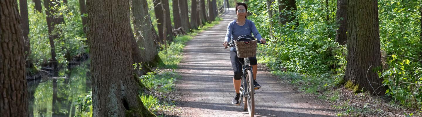 Radfahrerin auf dem Gurkenradweg im Spreewald | © Adobe Stock / Tilo Grellmann