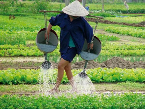 Vietnamesischer Gemsebauer giesst seine Felder
