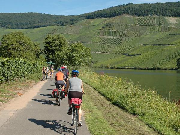 Radfahrer an der Mosel