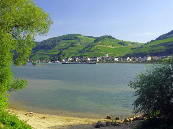 Rhein Landschaft
