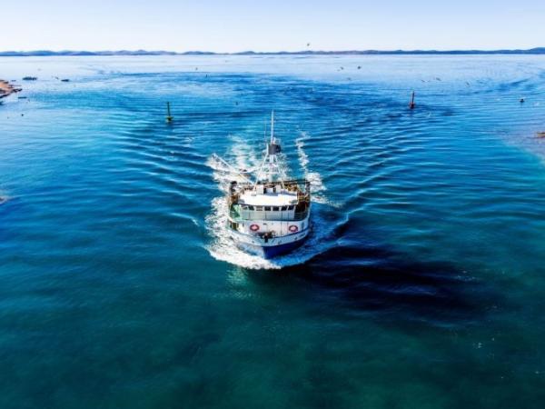 Fishing boat entering the port