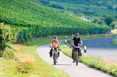 Cyclists on Main cycle path