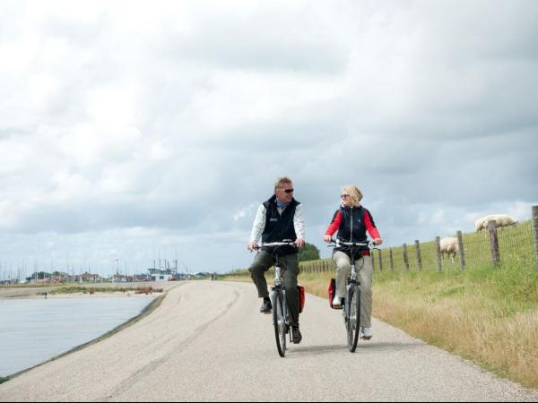Cycling along the Ijsselmeer