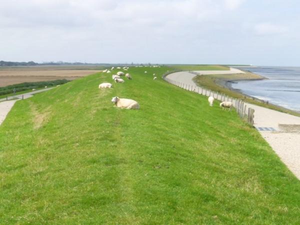 Damm bei Harlingen