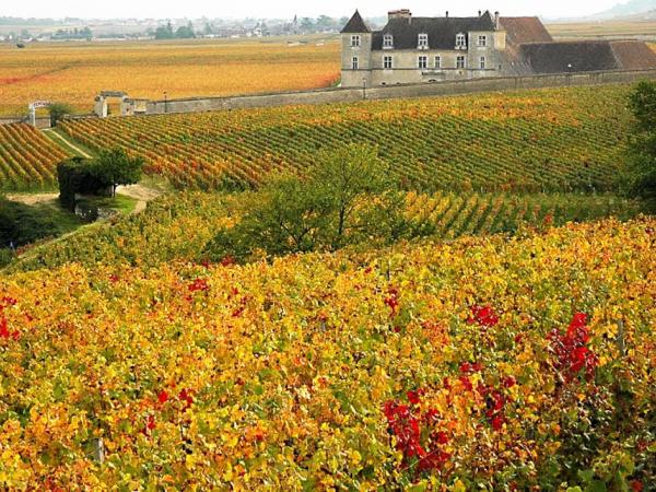 Chateau de Vougeot