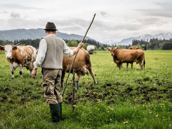 Auf der Alm bei Bad Tlz