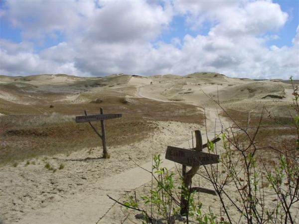 CuronianSpit - Dead Dunes