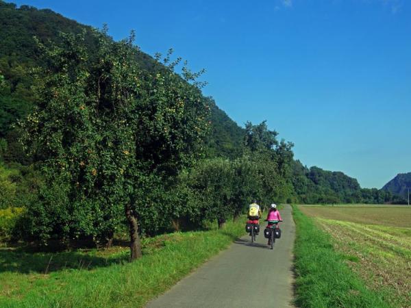 Radweg zwischen Andernach und Bonn