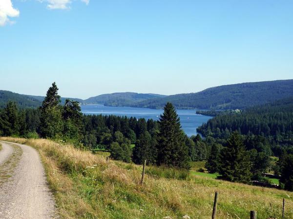 Seenlandschaft im Schwarzwald