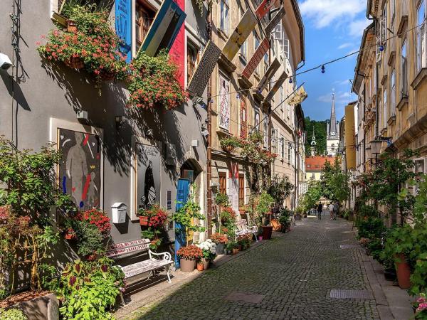 Sommer in den Straen Ljubljanas