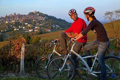 Bike tour in the vineyards around Sancerre